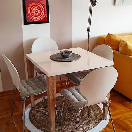 Rosa Novi Sad
