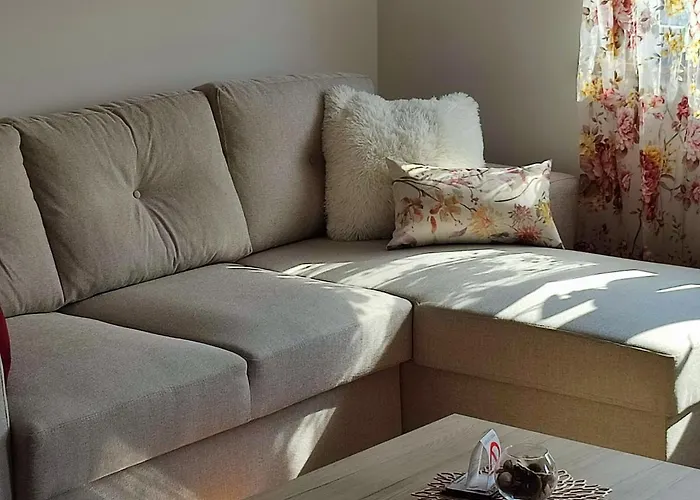 Apartman Rosa Novi Sad