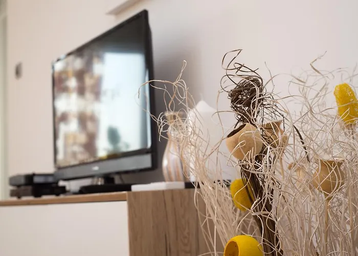 Apartmán Rosa Novi Sad